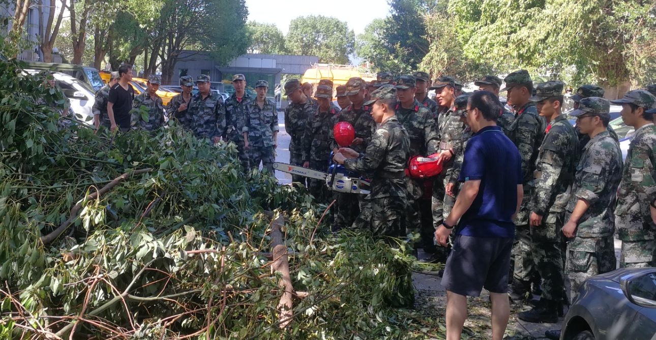 台风过境，紧急培训油锯使用.png
